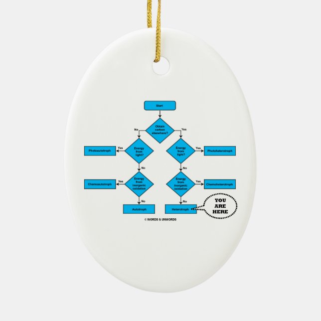 Heterotroph Flow Chart You Are Here Biology Humour Ceramic Tree Decoration (Back)