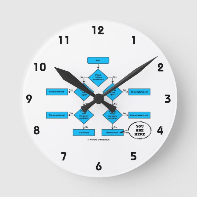 Heterotroph Flow Chart You Are Here Biology Humour Round Clock (Front)