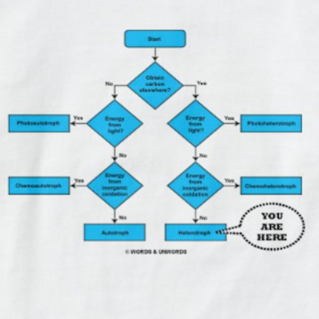 Heterotroph Flow Chart You Are Here Biology Humour T-Shirt (Heterotroph flow chart with "You Are Here" callout on this tee for any heterotroph)