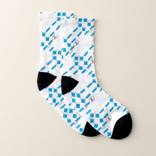 Heterotroph You Are Here Flow Chart Biology Humour Socks (Pair)