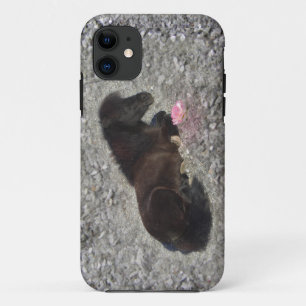 hety Shetland Pony Mini Horse Animal Pets iPhone 11 Case