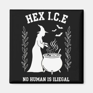 Hex ice witch cauldron halloween human is illegal magnet