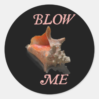 Hey Beaches Hola Retro Sunset Funny Beach Vacation Classic Round Sticker