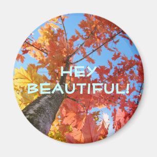 Hey Beautiful! magnet Colourful Fall Tree Leaves