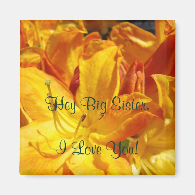 Hey Big Sister I Love You! magnet gifts Rhodies (Front)
