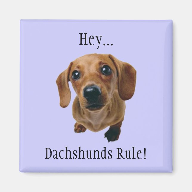 "Hey... Dachshunds Rule!" Magnet (Front)