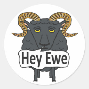 Hey Ewe Funny Sheep Pun Classic Round Sticker