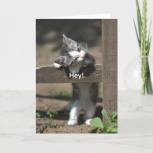 HEY-GET WELL CARD