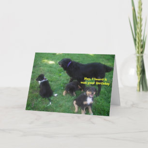 Hey, I heard it was your Birthday Card