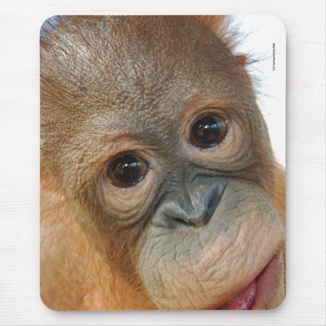 Hey, I'm a Cute Orangutan photo Mouse Pad (Front)