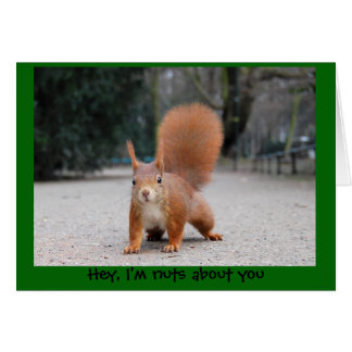 Hey, I'm nuts about you