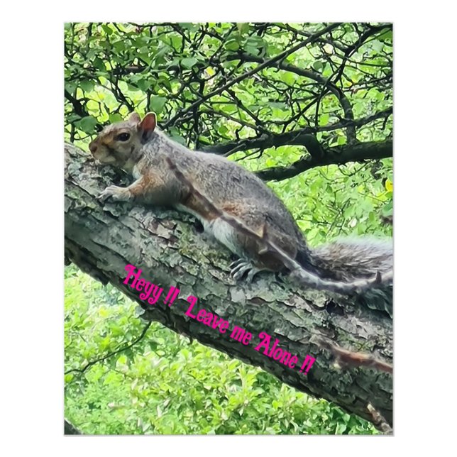 Hey! Leave me Alone! Annoyed Squirrel  Photo Print (Front)