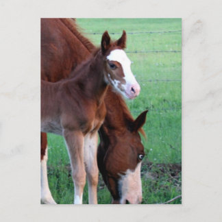 Hey look at me! postcard