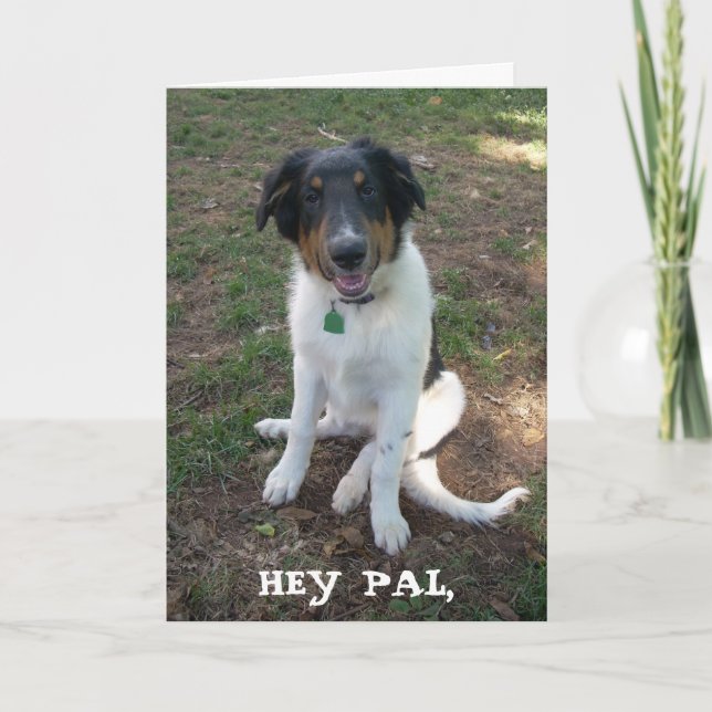 HEY PAL, Happy Birthday Card (Front)