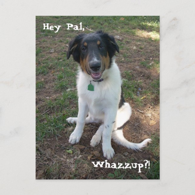Hey Pal, Whazzup?! Postcard (Front)