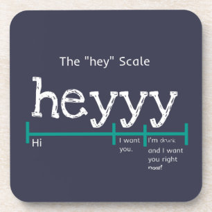 Hey Scale Heyyy Funny Coaster