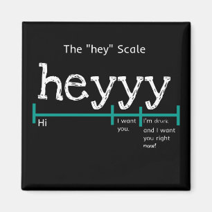 Hey Scale Heyyy Funny Magnet