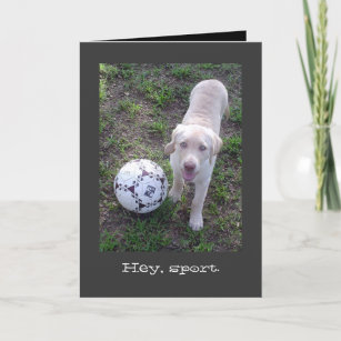 Hey, Sport. Yellow Lab Puppy All Occasion Card
