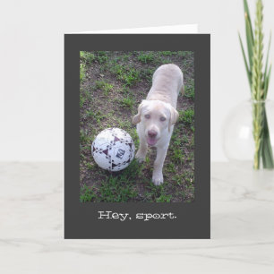 Hey, Sport. Yellow Lab Puppy Father's Day Card