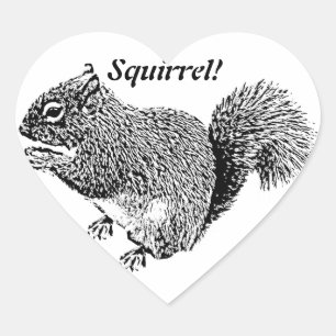 Hey Squirrel Heart Sticker