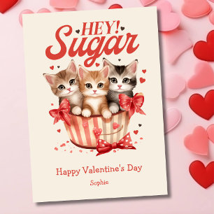 Hey sugar sweet kittens funny retro Valentines Day Holiday Card