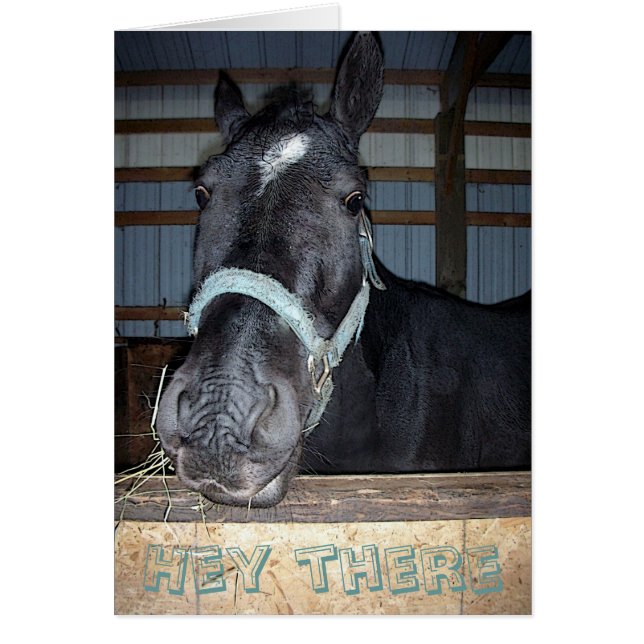 Hey there Card (Front)