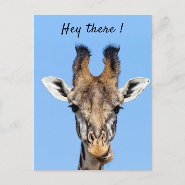 Hey there funny Giraffe photo with text Postcard (Front)