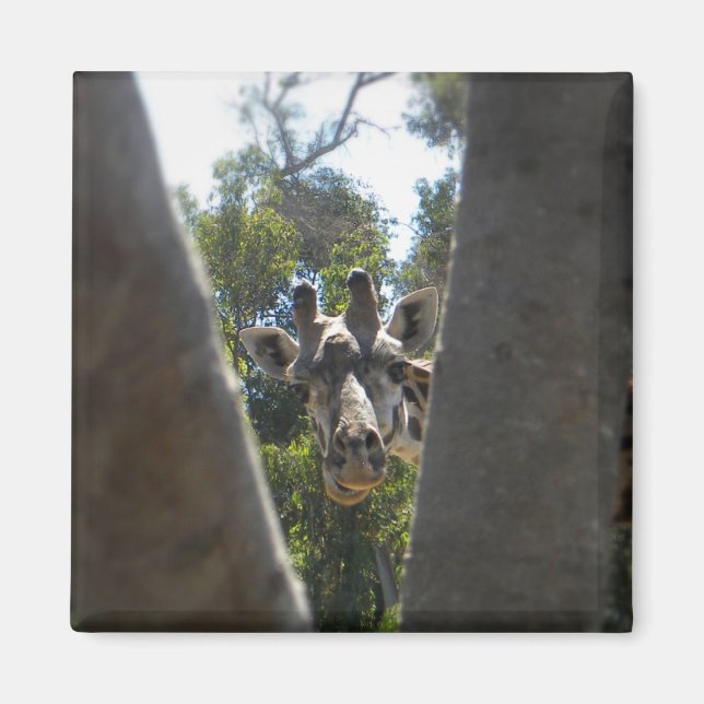 Hey There Giraffe Magnet (Front)