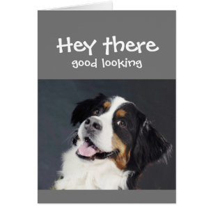 Hey There Good Looking Flirty Birthday Cute Dog