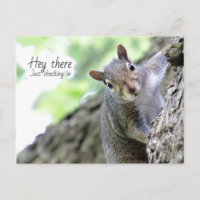 Hey There, Just Checking In Postcard