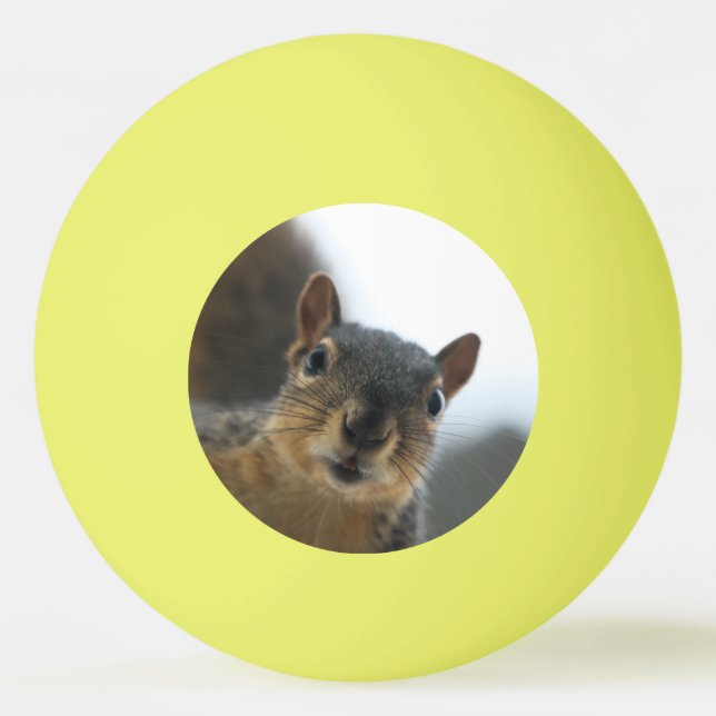 Hey there  ping pong ball (Front)