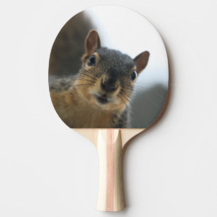 Hey there ping pong paddle