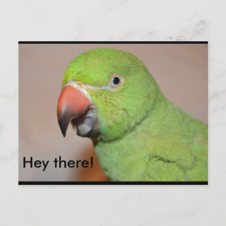 Hey There! Postcard