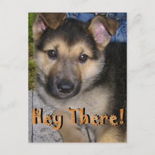 Hey There! Postcard