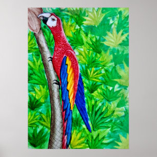 Hey, There’s a Scarlet Macaw in That Tree! Poster