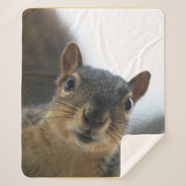 Hey there sherpa blanket (Front)