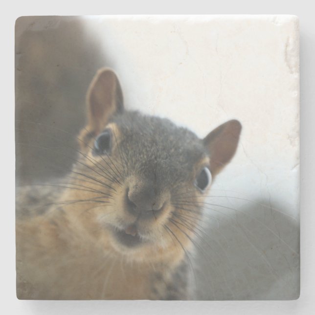 Hey there stone coaster (Front)