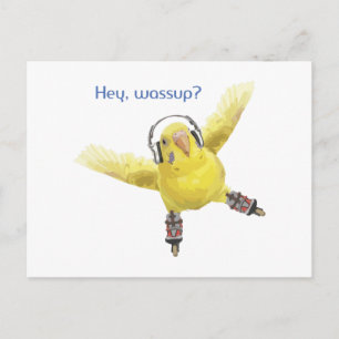 Hey Wassup Roller Skating Budgie with Headphones Postcard