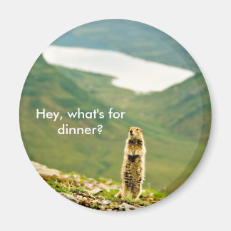 Hey, What's for Dinner? Magnet