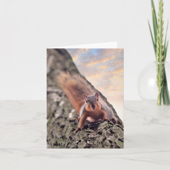 Hey, What's Up Note Card (Front)