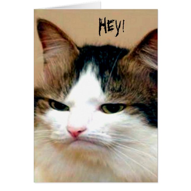 Hey You! (Front)