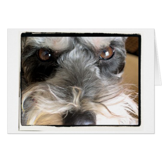 Hey You! I Order You To Come To My Party! Card