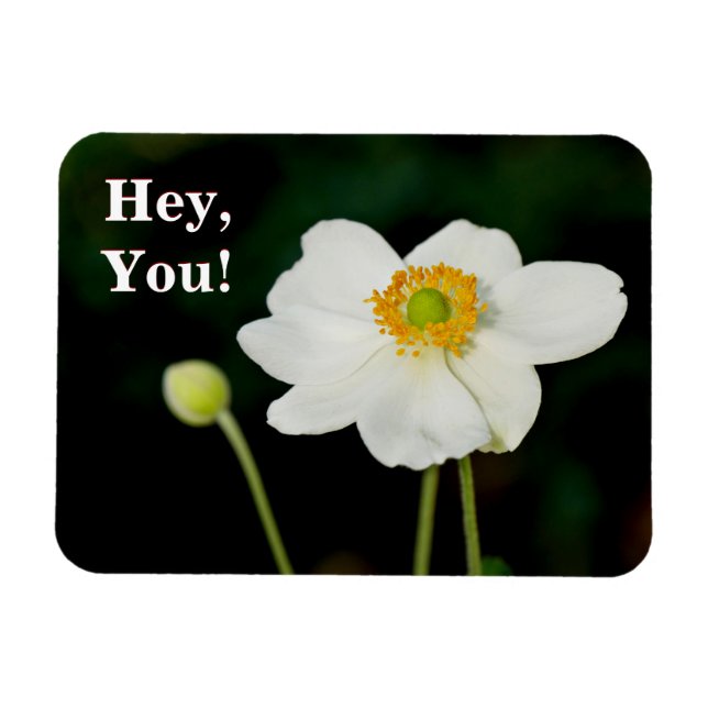 Hey You Wildflower Magnet (Horizontal)