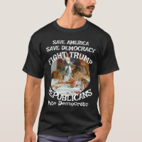 HG FV TRUMPS TSA DOJ POLITICAL CAMPAIGN 2026 2028