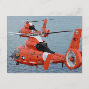 HH-65 Dolphin Postcard