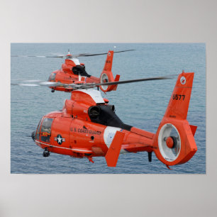 HH-65 Dolphin Poster