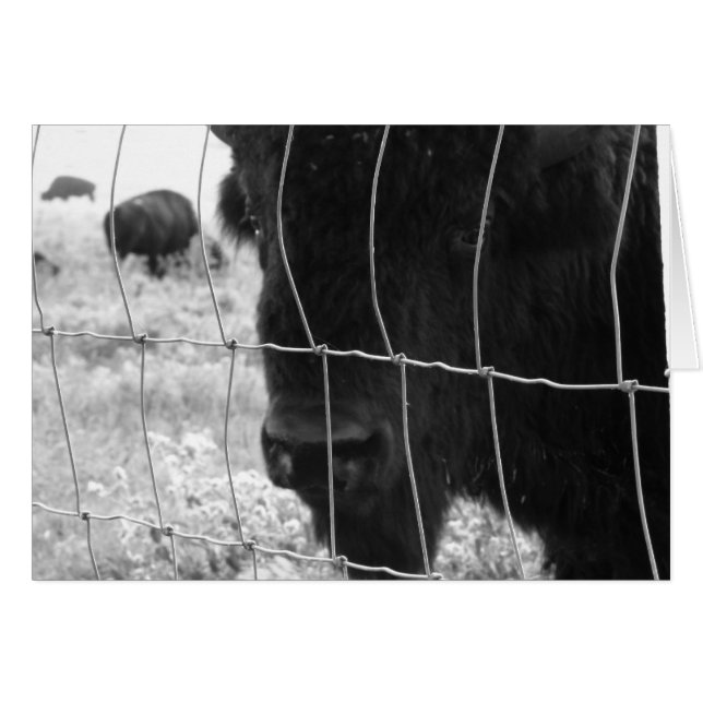 Hi (Front Horizontal)