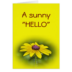 "HI" Black-Eyed Susan Wildflower