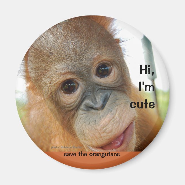 Hi Cute Baby Orangutan Magnet (Front)