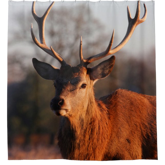 HI DEER SHOWER CURTAIN (Front)